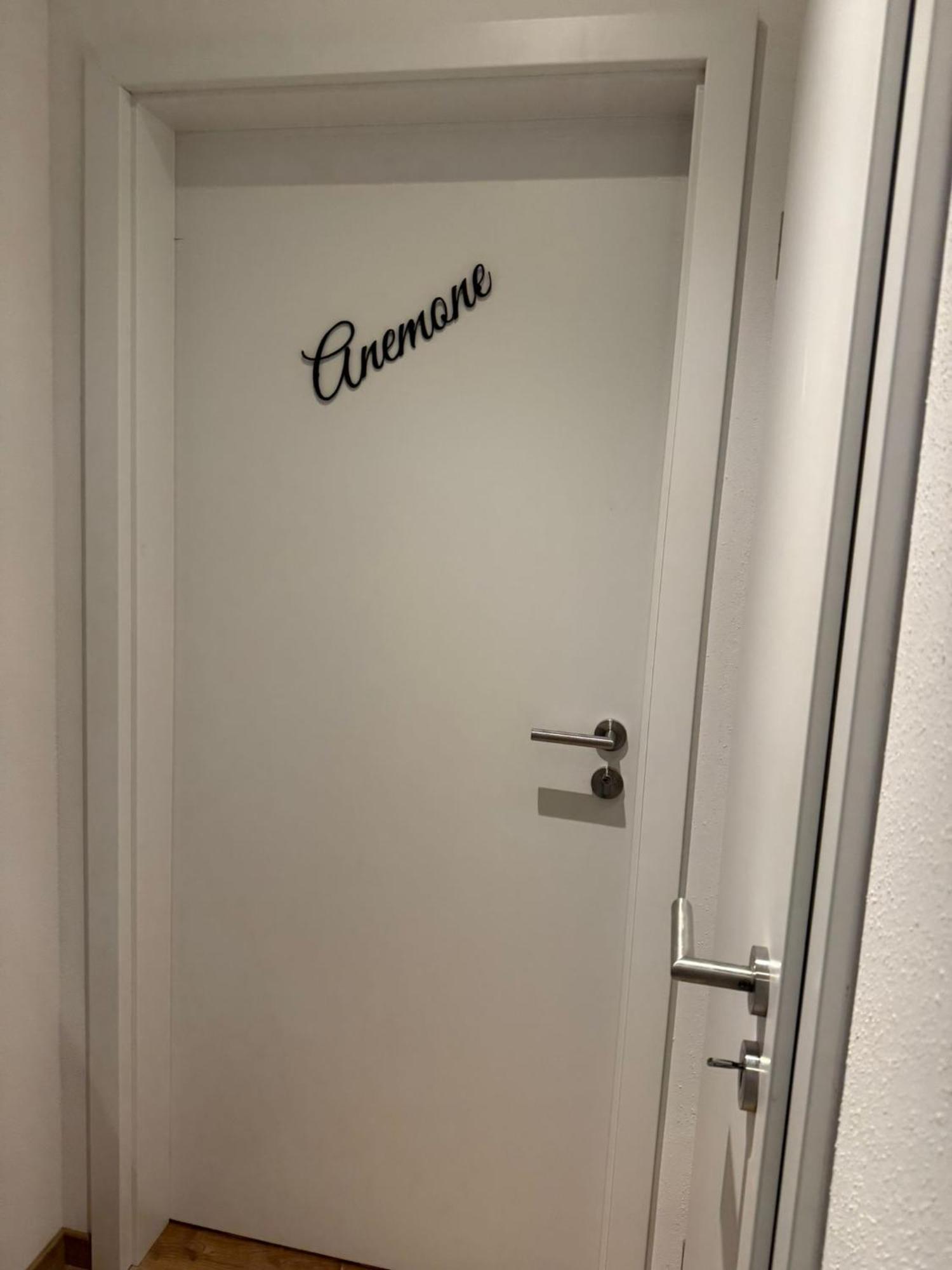 因泽尔Haus Schwalbennest公寓 外观 照片